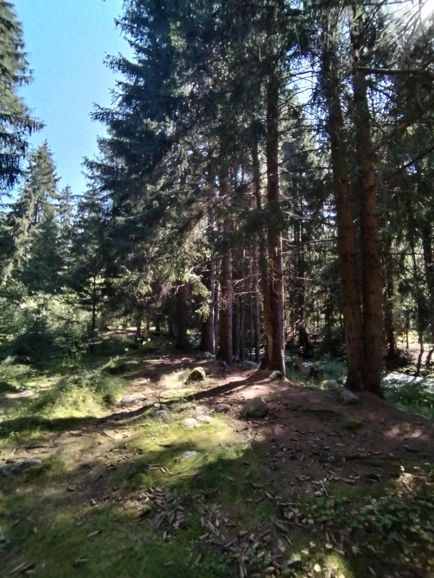 Penzion Real Žiar Esterno foto