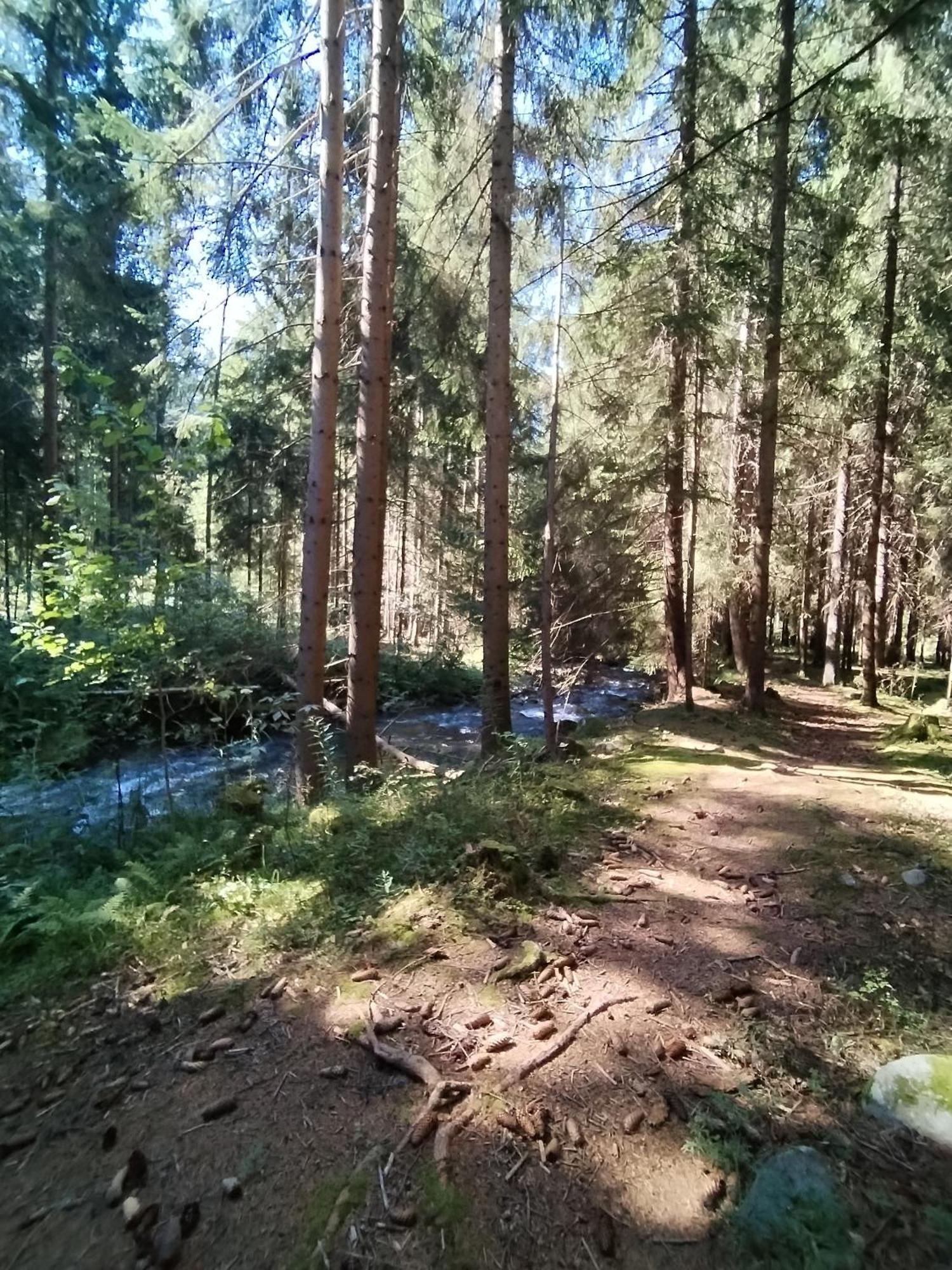 Penzion Real Žiar Esterno foto