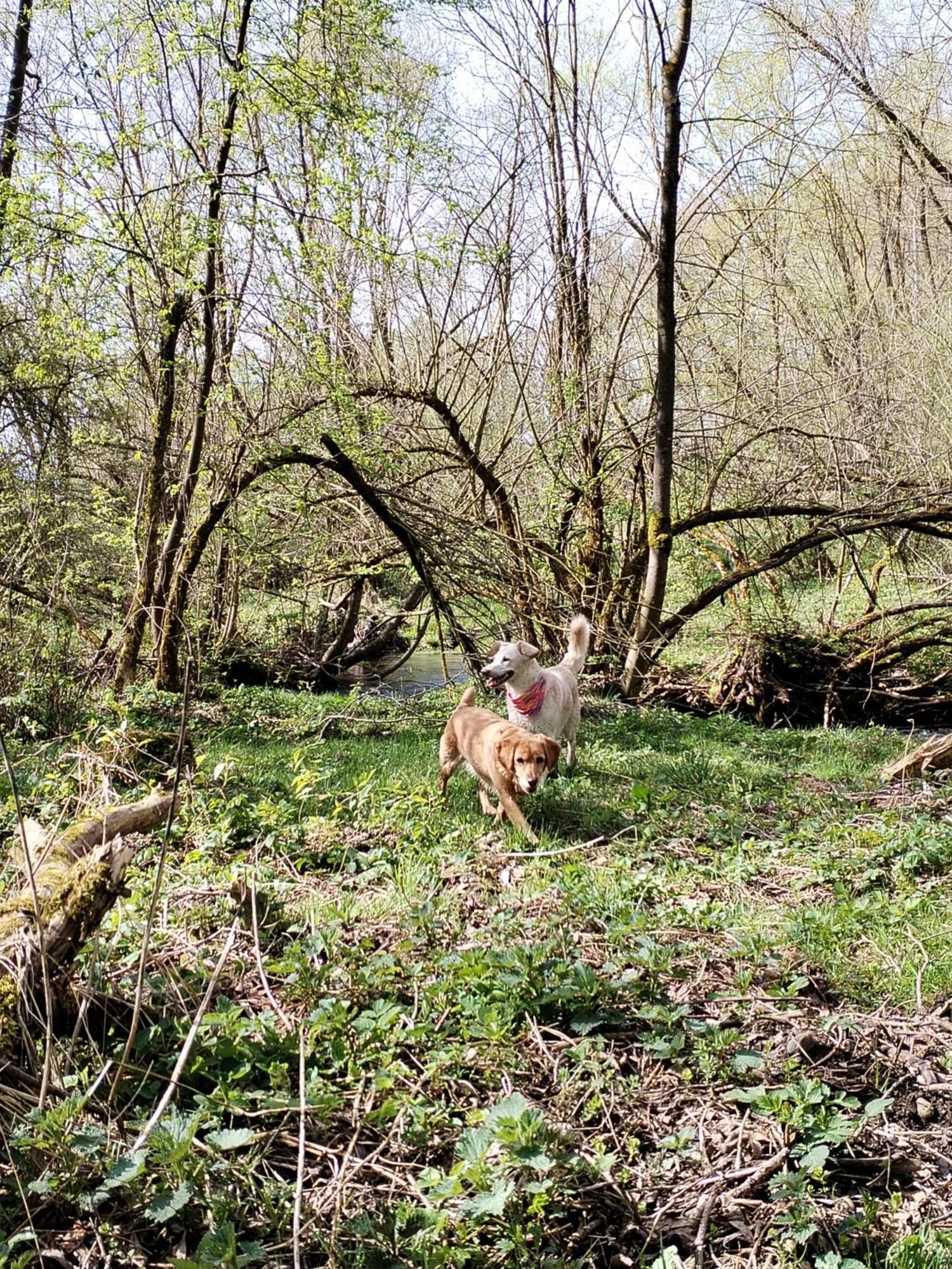 Penzion Real Žiar Esterno foto